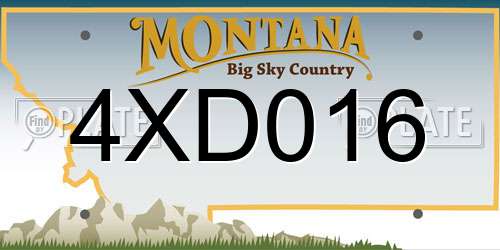 4XD016 Montana License Plate