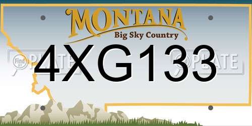 4XG133 Montana License Plate