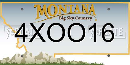 4XOO16 Montana License Plate