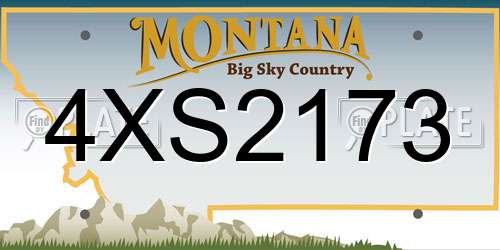 4XS2173 Montana License Plate