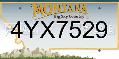 4YX7529 Montana License Plate