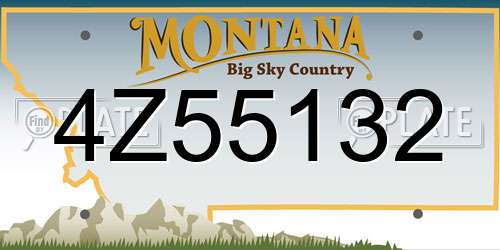 4Z55132 Montana License Plate