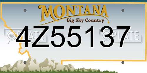 4Z55137 Montana License Plate