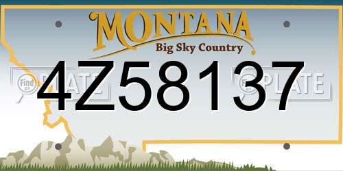 4Z58137 Montana License Plate
