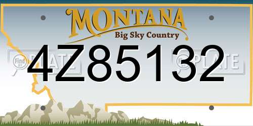4Z85132 Montana License Plate