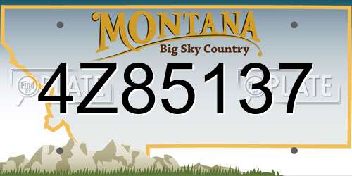 4Z85137 Montana License Plate