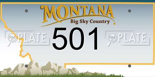 501 Montana License Plate