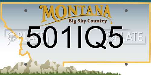 501IQ5 Montana License Plate