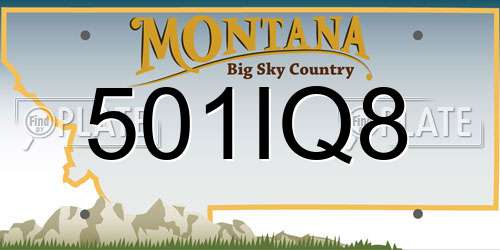 501IQ8 Montana License Plate