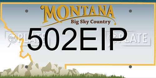 502EIP Montana License Plate