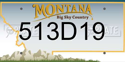 513D19 Montana License Plate