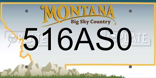 516AS0 Montana License Plate