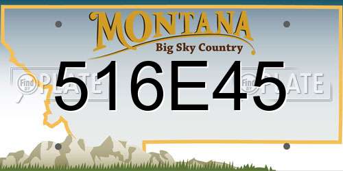516E45 Montana License Plate