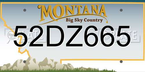 52DZ665 Montana License Plate