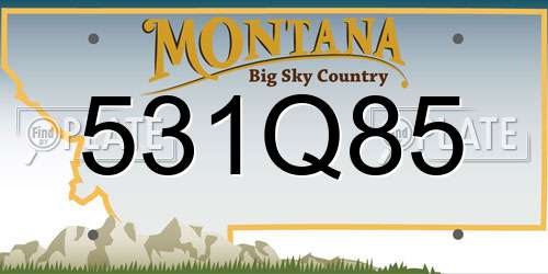 531Q85 Montana License Plate