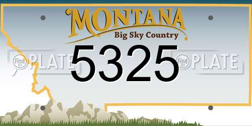 5325 Montana License Plate