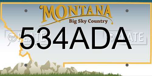 534ADA Montana License Plate