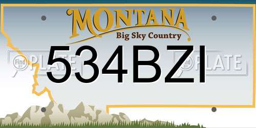 534BZI Montana License Plate