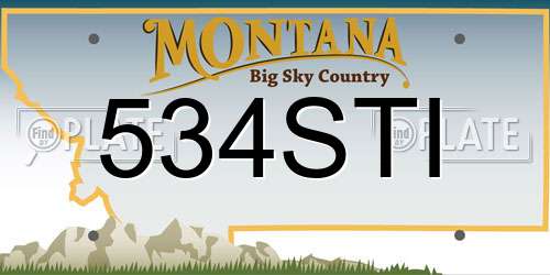 534STI Montana License Plate