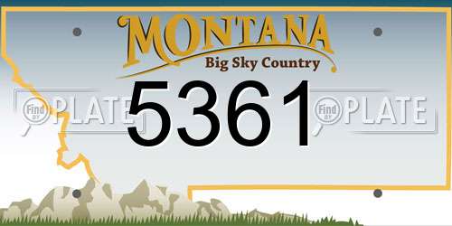 5361 Montana License Plate