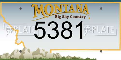 5381 Montana License Plate