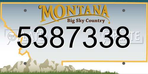 5387338 Montana License Plate