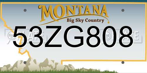 53ZG808 Montana License Plate