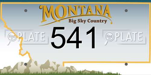 541 Montana License Plate