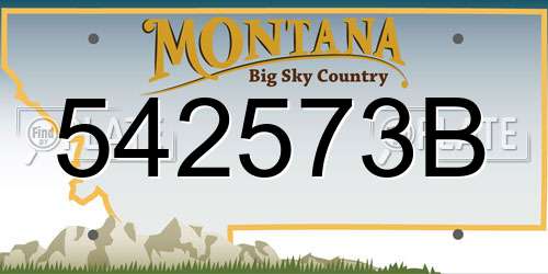 542573B Montana License Plate