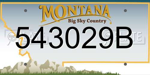 543029B Montana License Plate