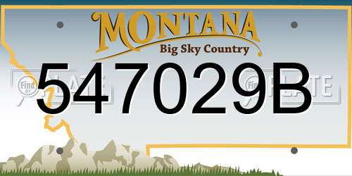 547029B Montana License Plate