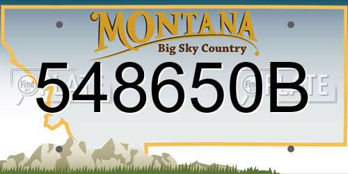 548650B Montana License Plate