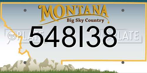 548I38 Montana License Plate