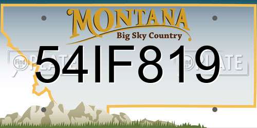 54IF819 Montana License Plate