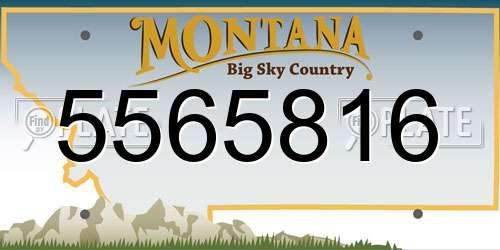 5565816 Montana License Plate