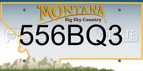 556BQ3 Montana License Plate