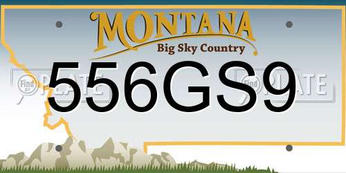 556GS9 Montana License Plate