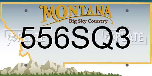 556SQ3 Montana License Plate