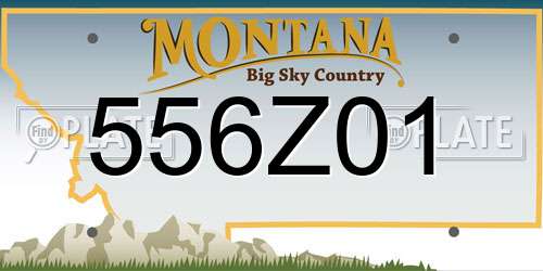 556Z01 Montana License Plate