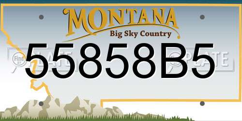 55858B5 Montana License Plate