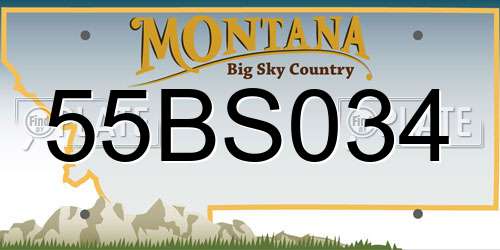 55BS034 Montana License Plate