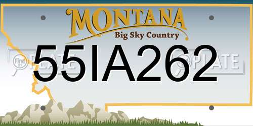55IA262 Montana License Plate