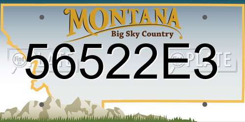56522E3 Montana License Plate