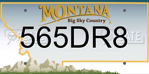565DR8 Montana License Plate