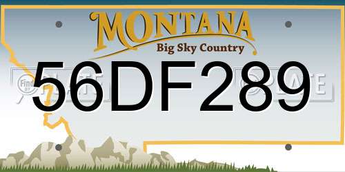 56DF289 Montana License Plate