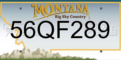 56QF289 Montana License Plate