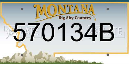 570134B Montana License Plate