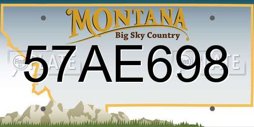 57AE698 Montana License Plate