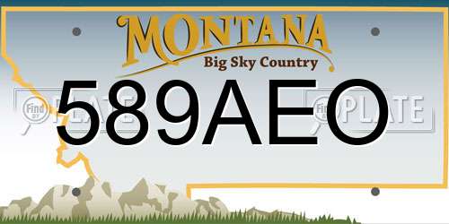 589AEO Montana License Plate