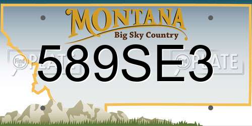589SE3 Montana License Plate